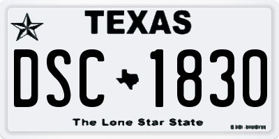 TX license plate DSC1830