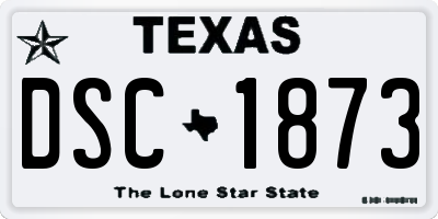 TX license plate DSC1873