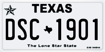 TX license plate DSC1901