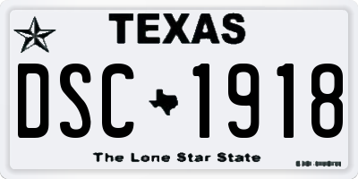 TX license plate DSC1918