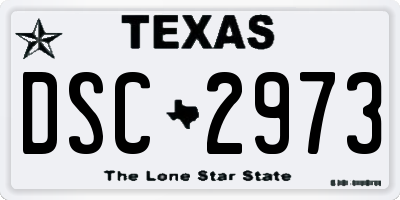 TX license plate DSC2973