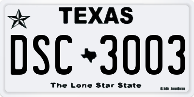TX license plate DSC3003