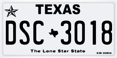 TX license plate DSC3018