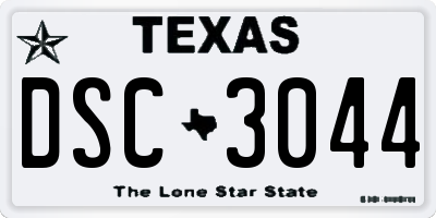 TX license plate DSC3044