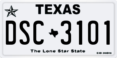 TX license plate DSC3101
