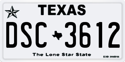 TX license plate DSC3612