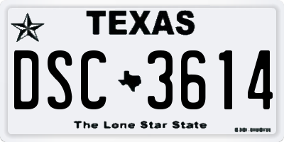 TX license plate DSC3614