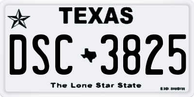 TX license plate DSC3825