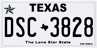 TX license plate DSC3828