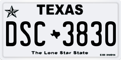 TX license plate DSC3830