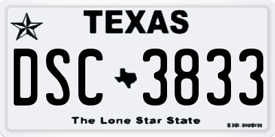 TX license plate DSC3833
