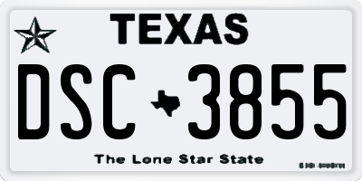 TX license plate DSC3855