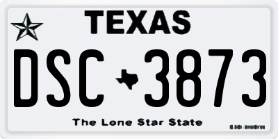 TX license plate DSC3873