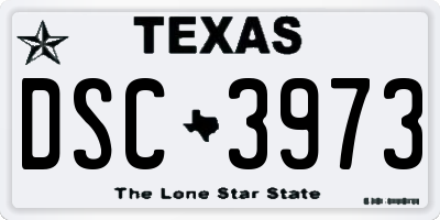 TX license plate DSC3973