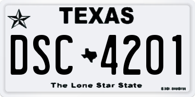 TX license plate DSC4201