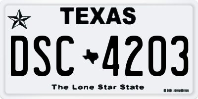 TX license plate DSC4203