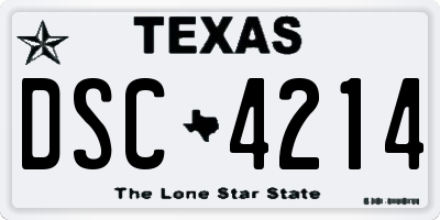 TX license plate DSC4214