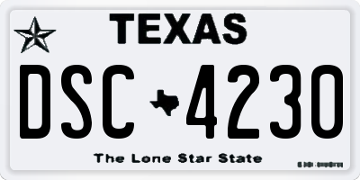 TX license plate DSC4230