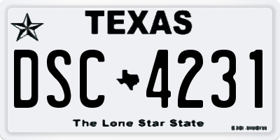 TX license plate DSC4231