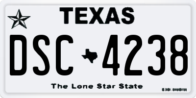 TX license plate DSC4238