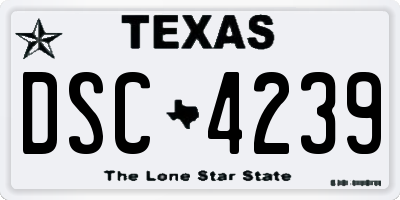TX license plate DSC4239
