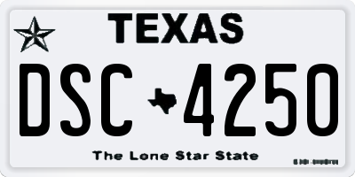 TX license plate DSC4250