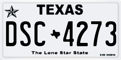 TX license plate DSC4273
