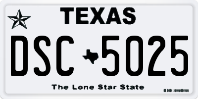 TX license plate DSC5025
