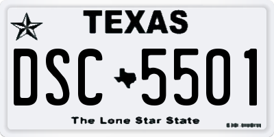 TX license plate DSC5501