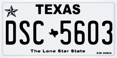 TX license plate DSC5603
