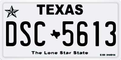 TX license plate DSC5613