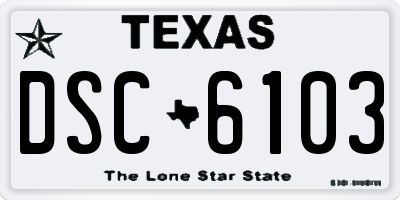 TX license plate DSC6103
