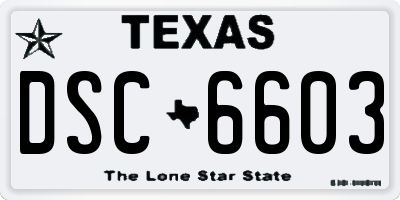 TX license plate DSC6603