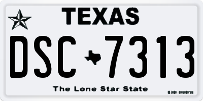 TX license plate DSC7313
