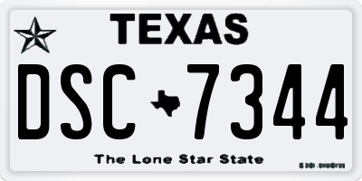 TX license plate DSC7344