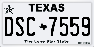 TX license plate DSC7559