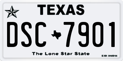 TX license plate DSC7901