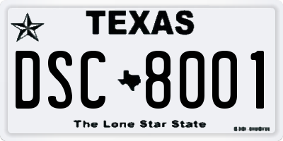 TX license plate DSC8001