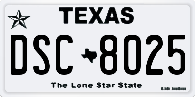 TX license plate DSC8025