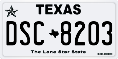 TX license plate DSC8203