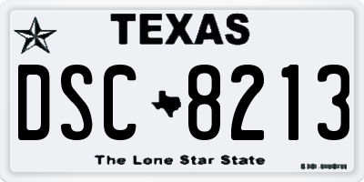 TX license plate DSC8213