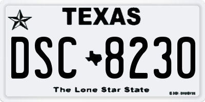 TX license plate DSC8230