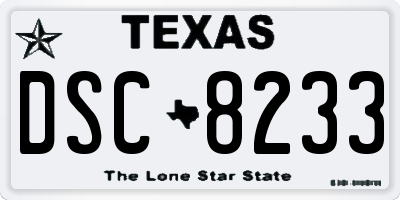 TX license plate DSC8233