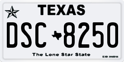 TX license plate DSC8250