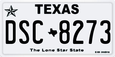 TX license plate DSC8273
