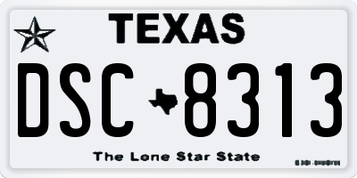 TX license plate DSC8313