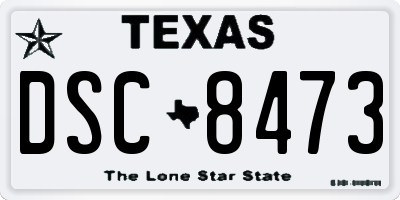 TX license plate DSC8473