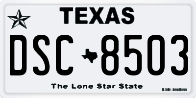 TX license plate DSC8503