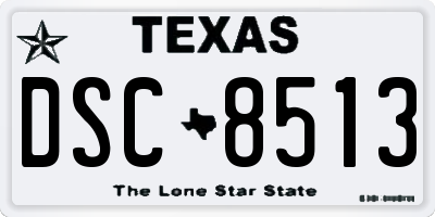 TX license plate DSC8513