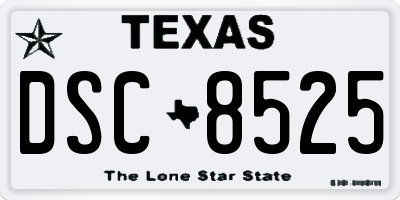 TX license plate DSC8525